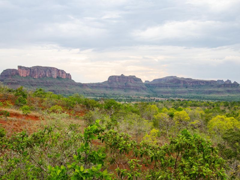Paisagem do cerrado goiano com Chapadas e trilhas em Caiapônia