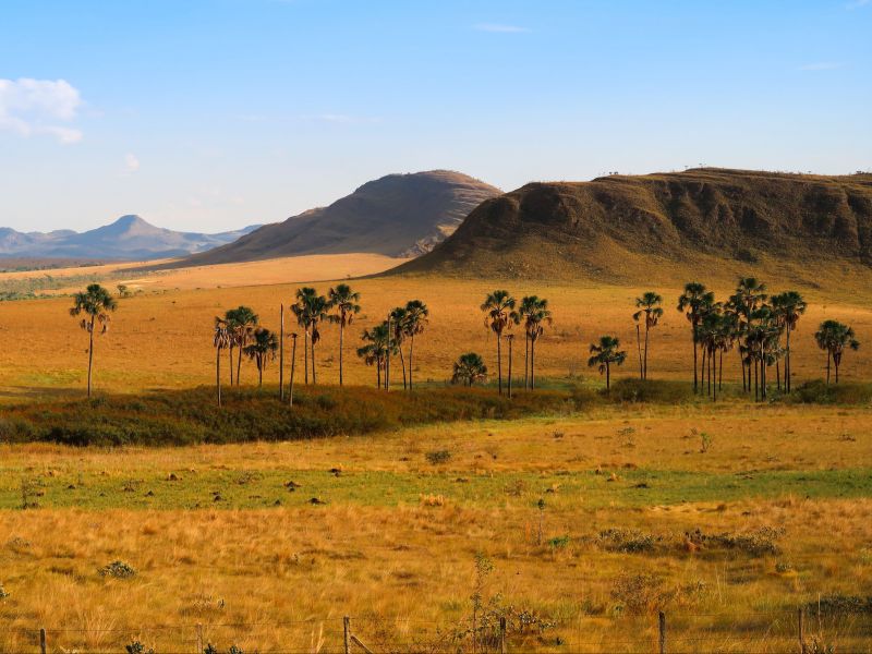 Vista panorâmica da Chapada dos Veadeiros com árvores e clima do cerrado goiano