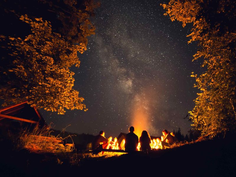 pessoas em volta de uma fogueira durante uma noite estrelada e algumas árvores ao redor