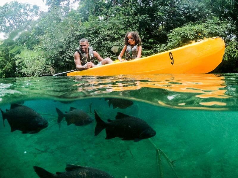 Um homem e uma criança em um caiaque amarelo no rio natural do Hot Park, com peixes passando sob a água