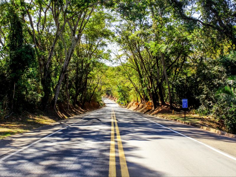 Estrada em Goiás, com árvores de ambos os lados, quase formando um telhado para a estrada que segue até uma curva no horizonte
