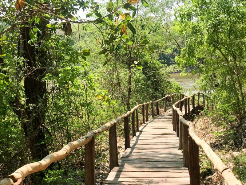 Ponte de madeira que leva a um rio em Aragarças