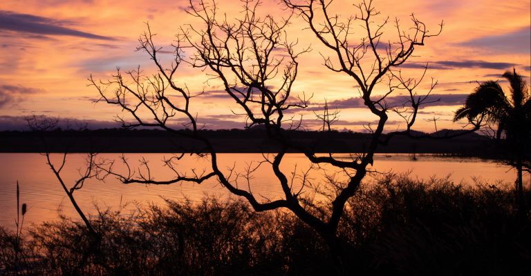 Região de Serra da Mesa: cidades surpreendentes e o quinto maior lago do Brasil