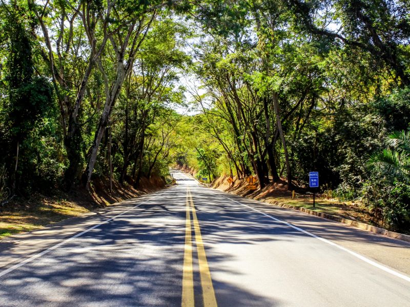 Estrada que leva a Catalão, cercada de árvores o sol penetrando por entre os galhos