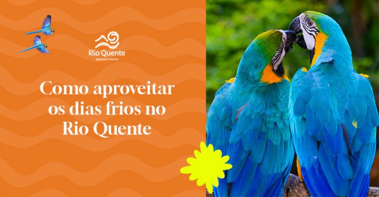 O Que Fazer no Rio Quente em Dias Frios